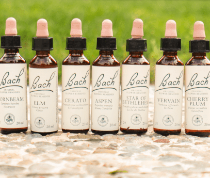 Flores de Bach