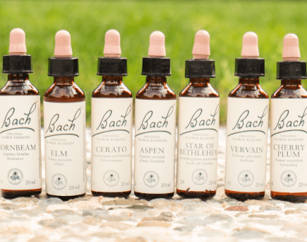 Flores de Bach